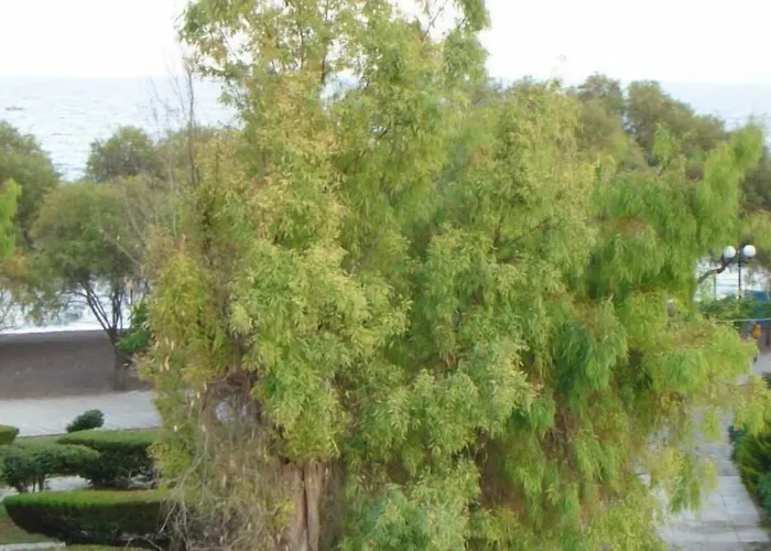 Pyrassos Penzion Néa Ankhíalos